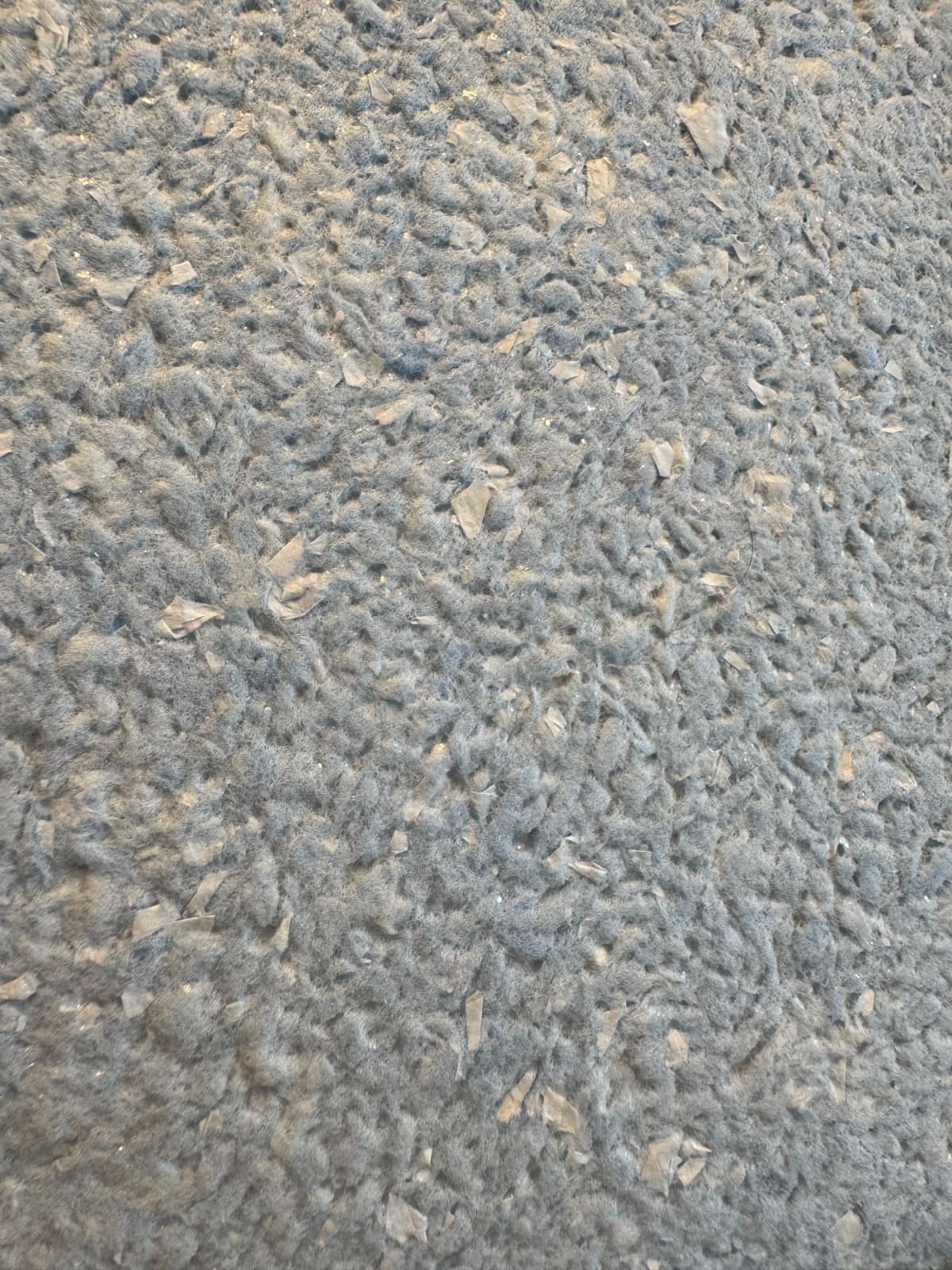 Papel de Parede Líquido Azul Ibiza